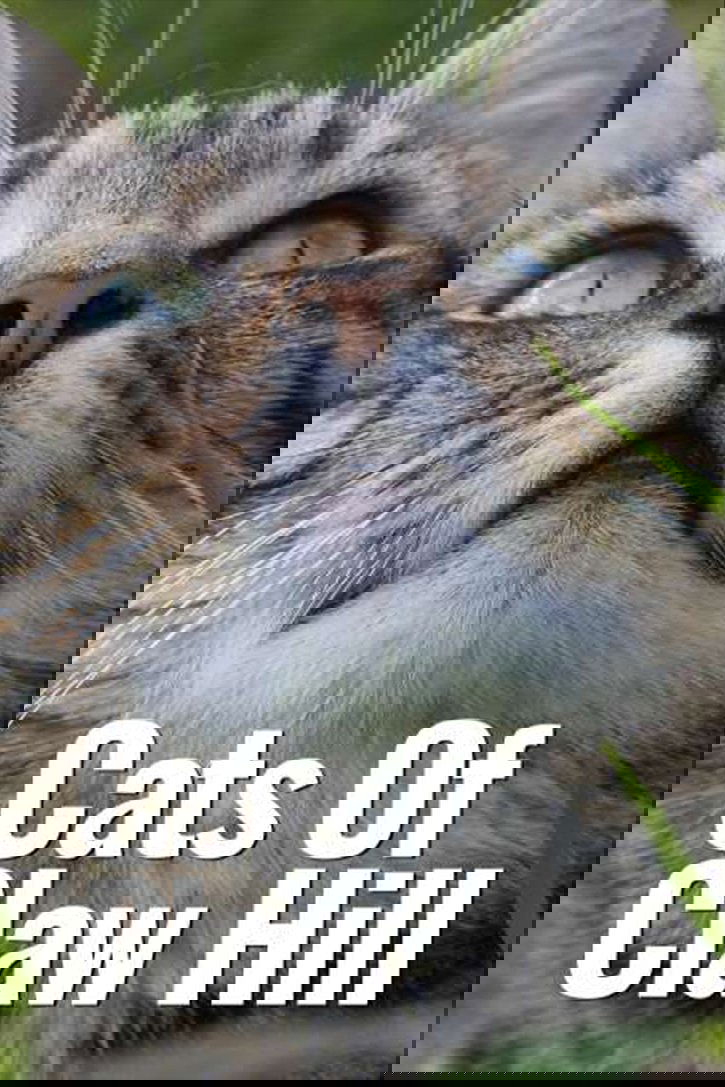 Cats of Claw Hill